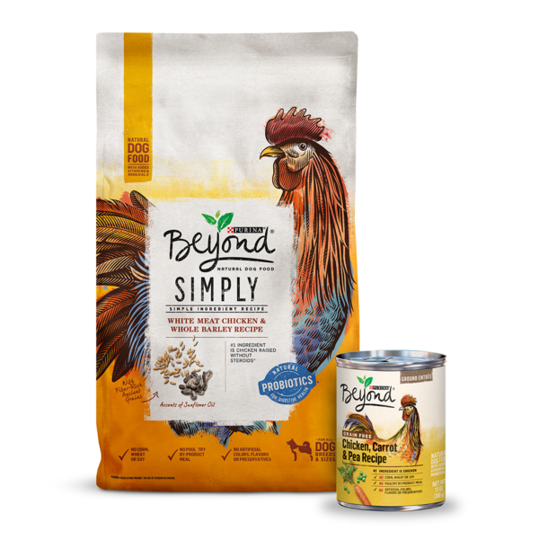 Beyond Organic Dog Food